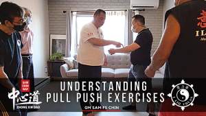 Understanding Pull Push Exercise