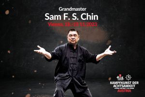 [Vienna, Austria] Workshop with Grandmaster Sam F. S. Chin in Vienna